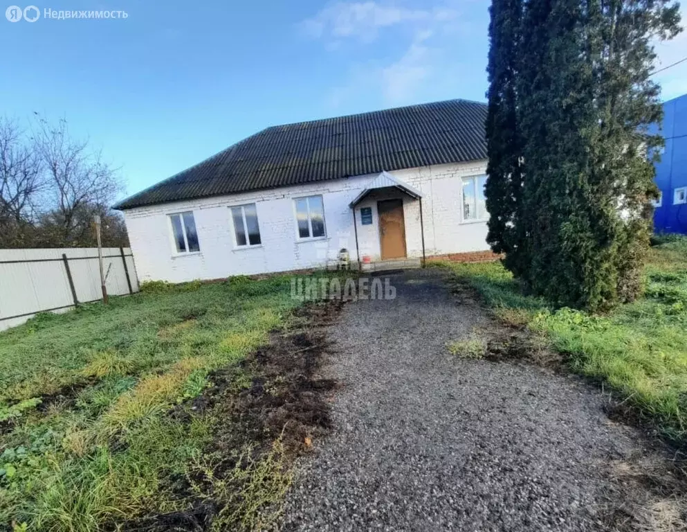 Дом в Липецкая область, Становлянский муниципальный округ, село ... - Фото 1