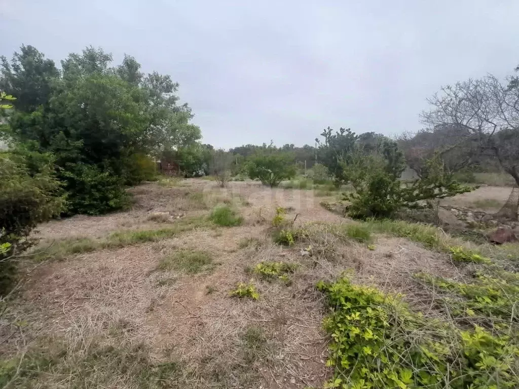 Участок в Севастополь Мрия садоводческое товарищество, 178 (8.0 сот.) - Фото 2