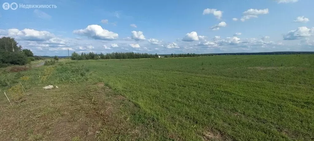 Участок в Суздальский район, муниципальное образование Павловское, ... - Фото 0