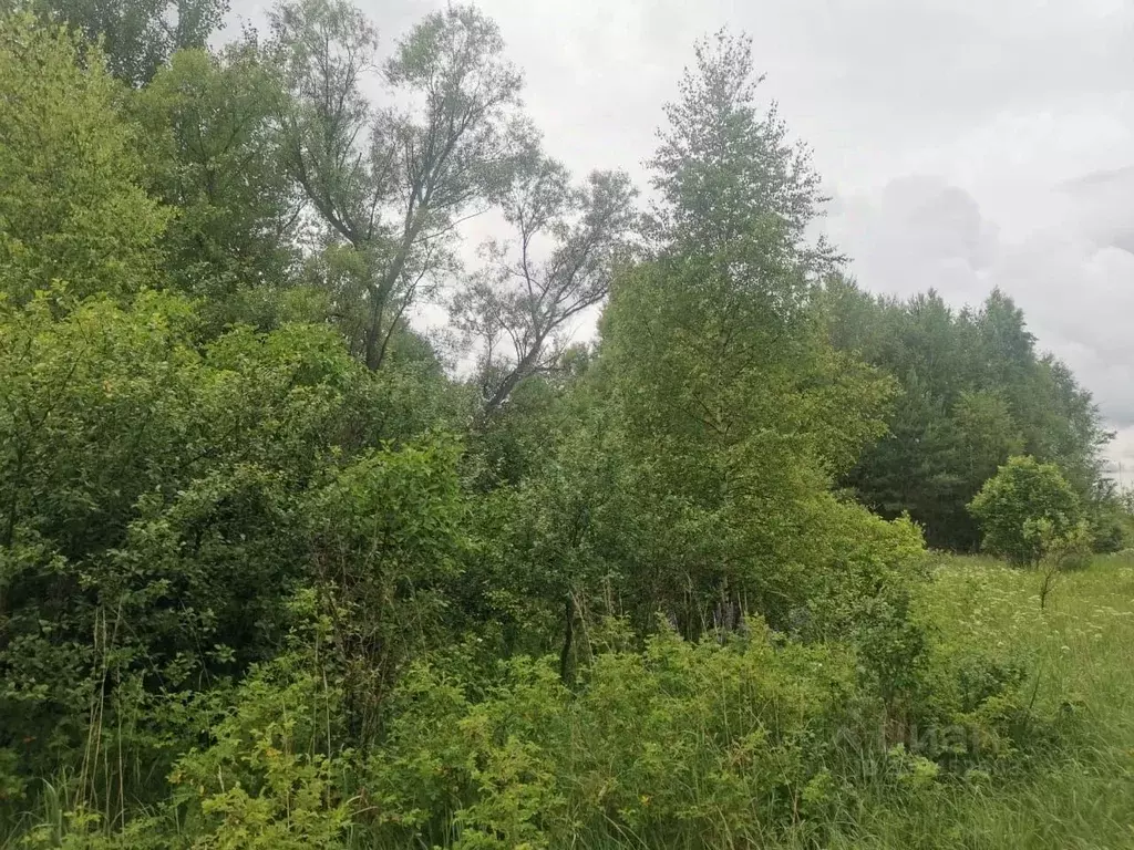 Участок в Московская область, Орехово-Зуевский городской округ, д. ... - Фото 1