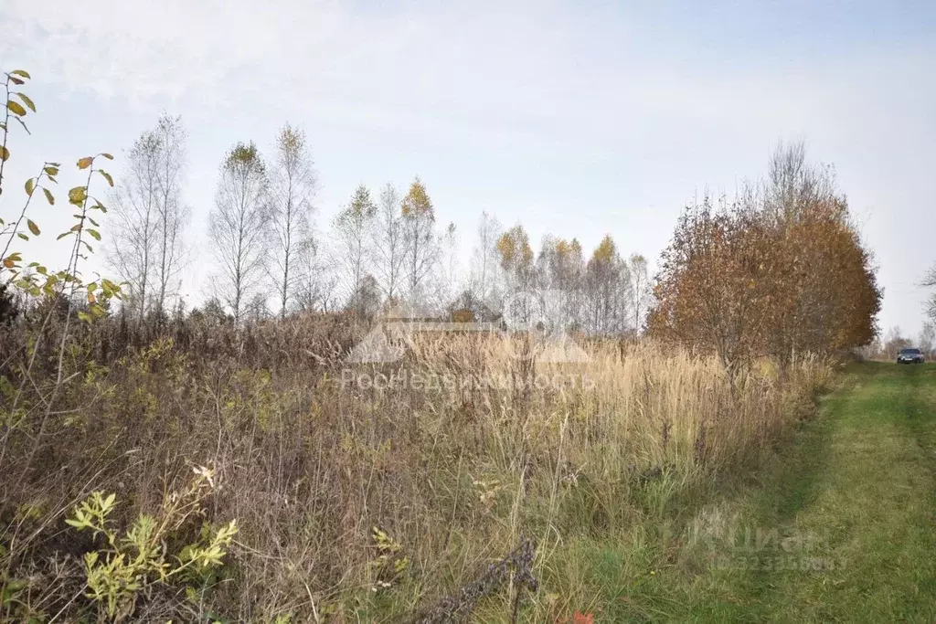 Участок в Владимирская область, Кольчугинский муниципальный округ, д. ... - Фото 1