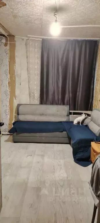 Дом в Омская область, Омск ул. 13-я Линия, 65 (49 м) - Фото 0