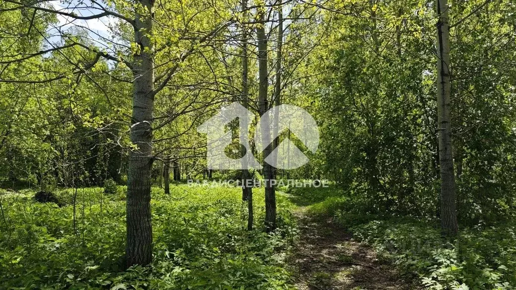 Участок в Новосибирская область, Новосибирский район, Каменский ... - Фото 1
