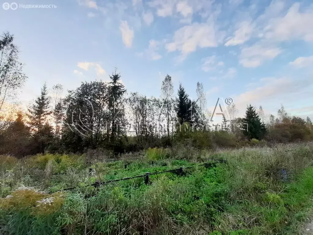 Участок в Опольевское сельское поселение, дачный посёлок НСТ ... - Фото 1
