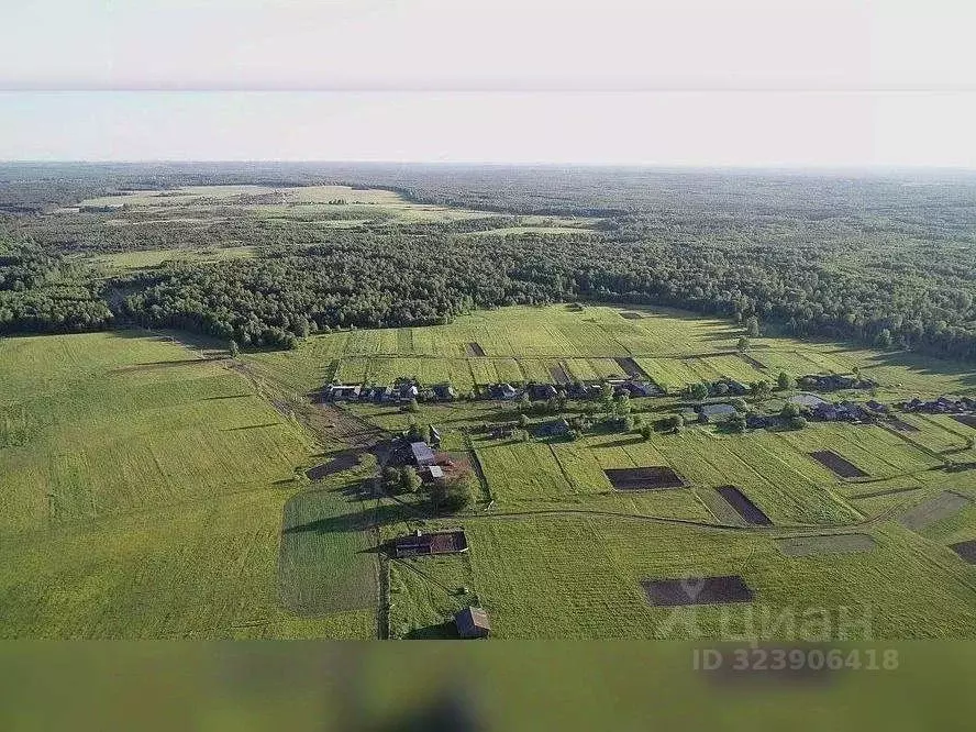 Участок в Московская область, Коломна городской округ, д. Якшино ул. ... - Фото 1