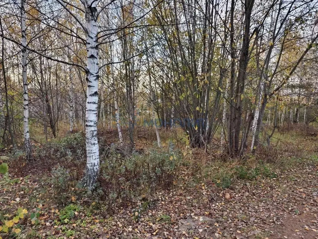 Участок в Нижегородская область, Нижний Новгород с. Новые Ключищи, ул. ... - Фото 1