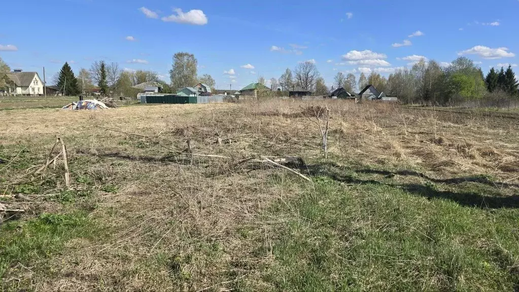 Участок в Московская область, Талдомский городской округ, д. Нушполы  ... - Фото 0