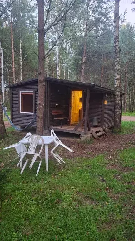 Дом в Псковская область, Псковский район, Писковичская волость, д. ... - Фото 2
