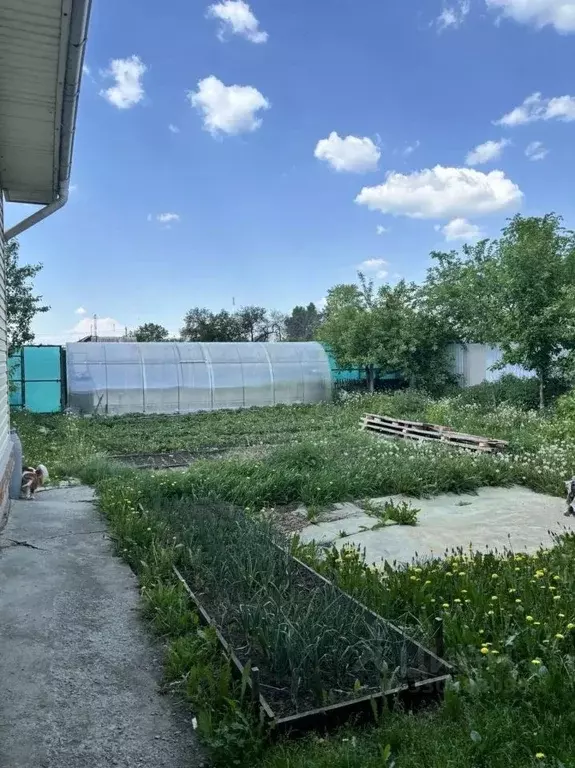 Дом в Челябинская область, с. Еткуль ул. Ленина, 70 (123 м) - Фото 2