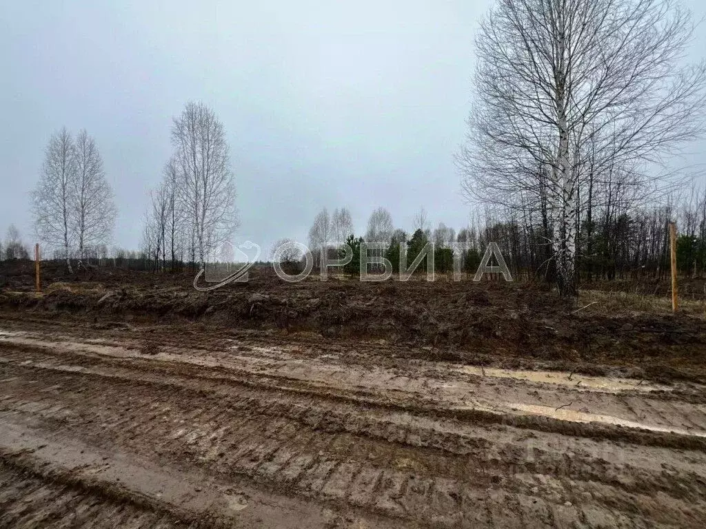 Участок в Тюменская область, Нижнетавдинский район, д. Штакульская  ... - Фото 1