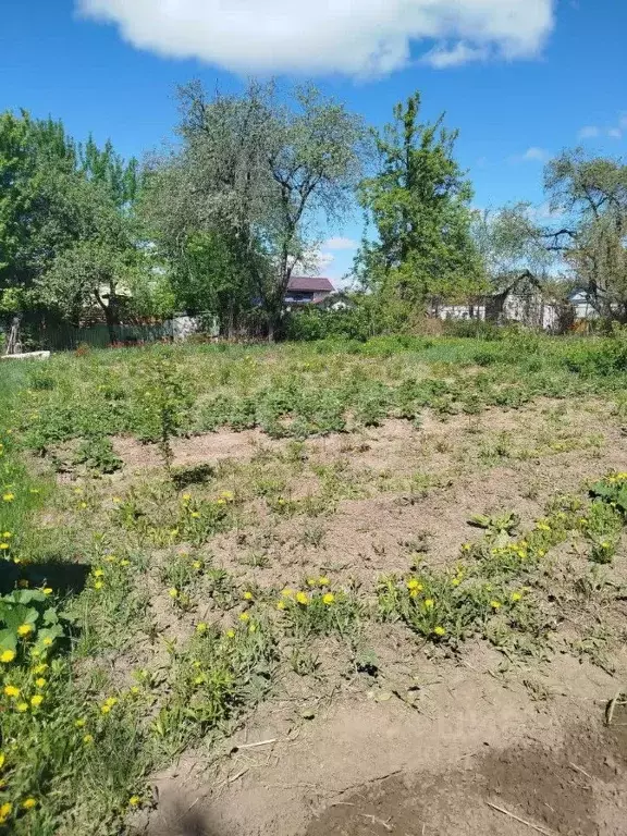 Участок в Брянская область, Брянск Рассвет садовое общество, 2 (6.7 ... - Фото 2