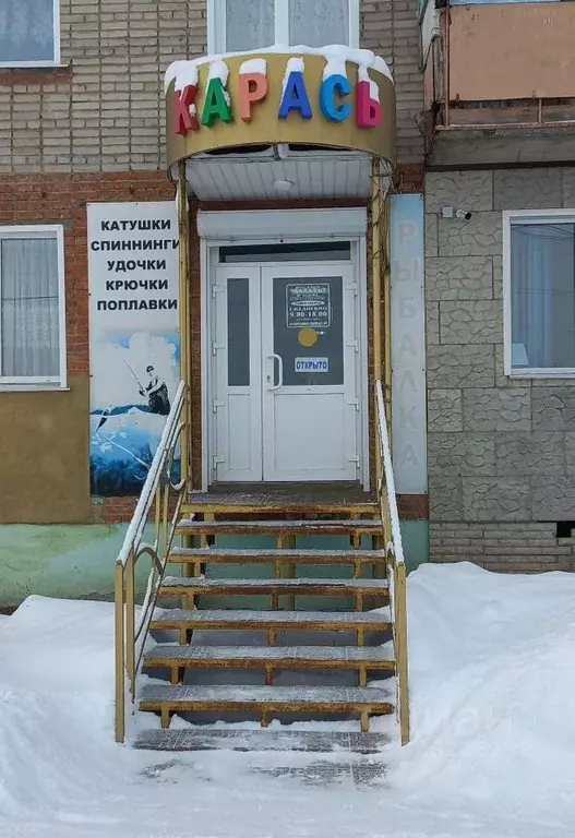 Помещение свободного назначения в Пензенская область, Каменка ул. ... - Фото 2