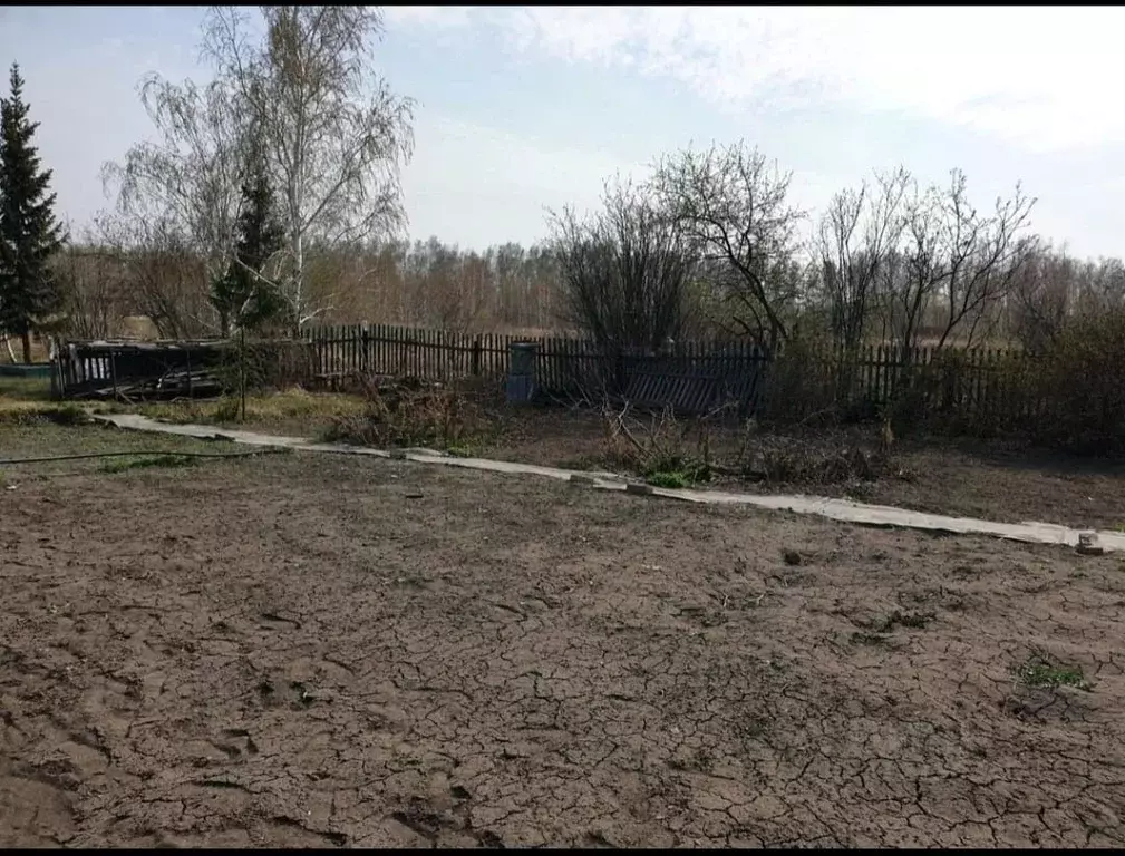 Участок в Омская область, Омский район, Новоомское с/пос, Зеленый ... - Фото 2