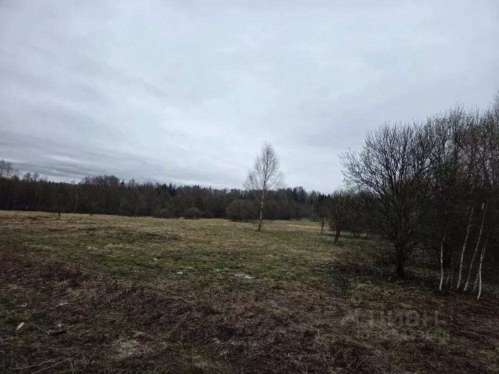 Участок в Московская область, Клин городской округ, д. Богаиха  (6.0 ... - Фото 2