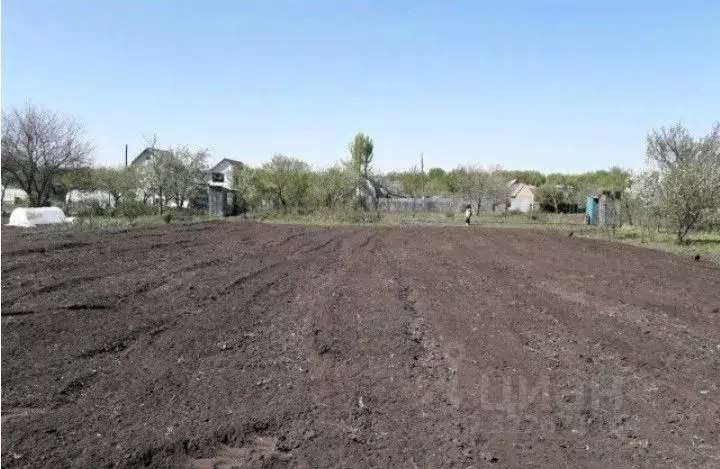 Участок в Курская область, Курск Цветово СТ, 82 (10.0 сот.) - Фото 1