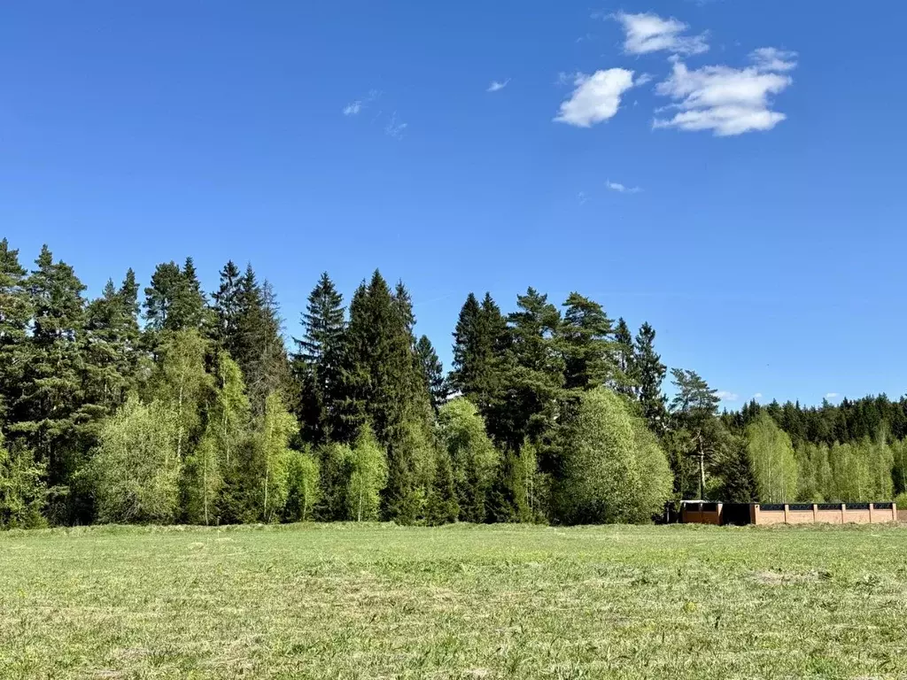 Участок в Московская область, Дмитровский муниципальный округ, д. ... - Фото 2