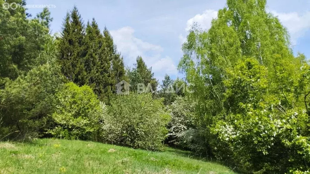 Участок в Нижегородская область, Сосновский муниципальный округ, ... - Фото 1