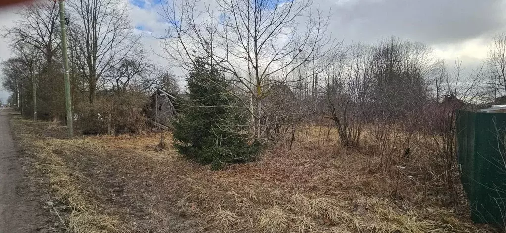 Участок в Ленинградская область, Гатчинский муниципальный округ, д. ... - Фото 2