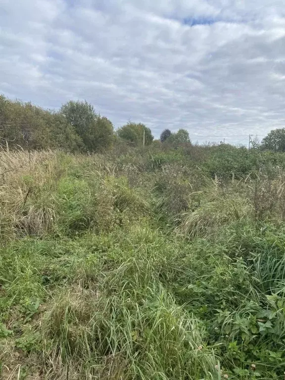 Участок в Московская область, Лотошино муниципальный округ, пос. ... - Фото 1