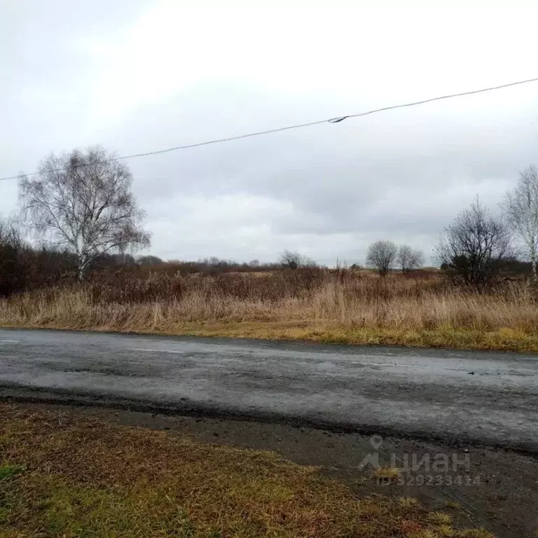 Участок в Свердловская область, Ирбитский район, д. Ретнева Дорожная ... - Фото 2