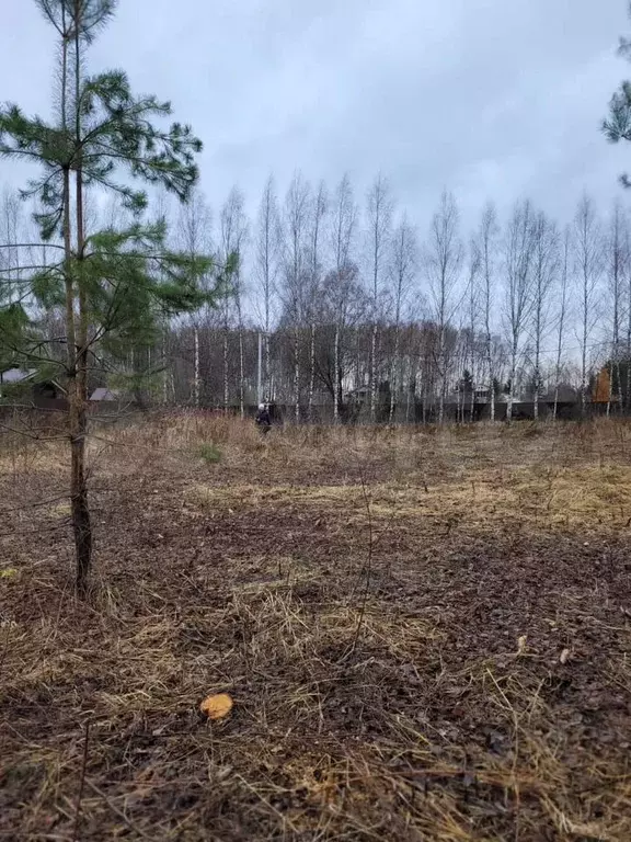Участок 20 сот. (СНТ, ДНП) - Фото 0