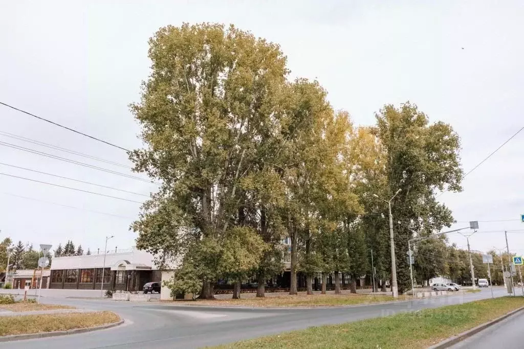 Комната Самарская область, Тольятти бул. 50 лет Октября, 46 (10.0 м) - Фото 0