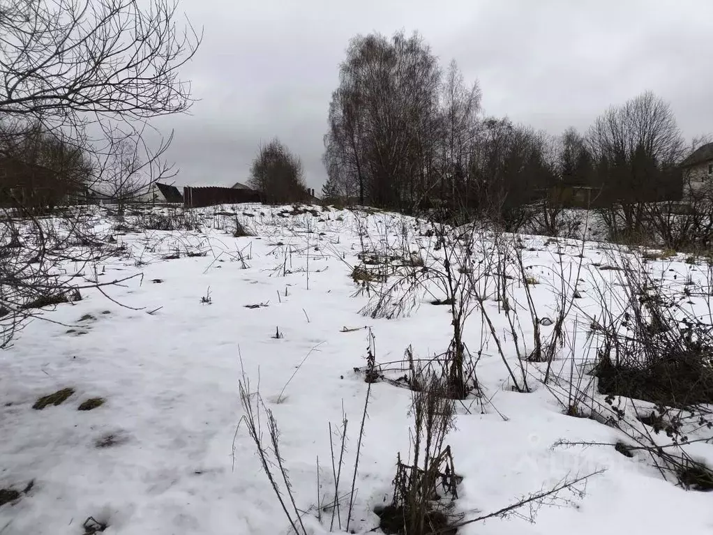 Участок в Московская область, Клин городской округ, с. Троицкое  ... - Фото 0