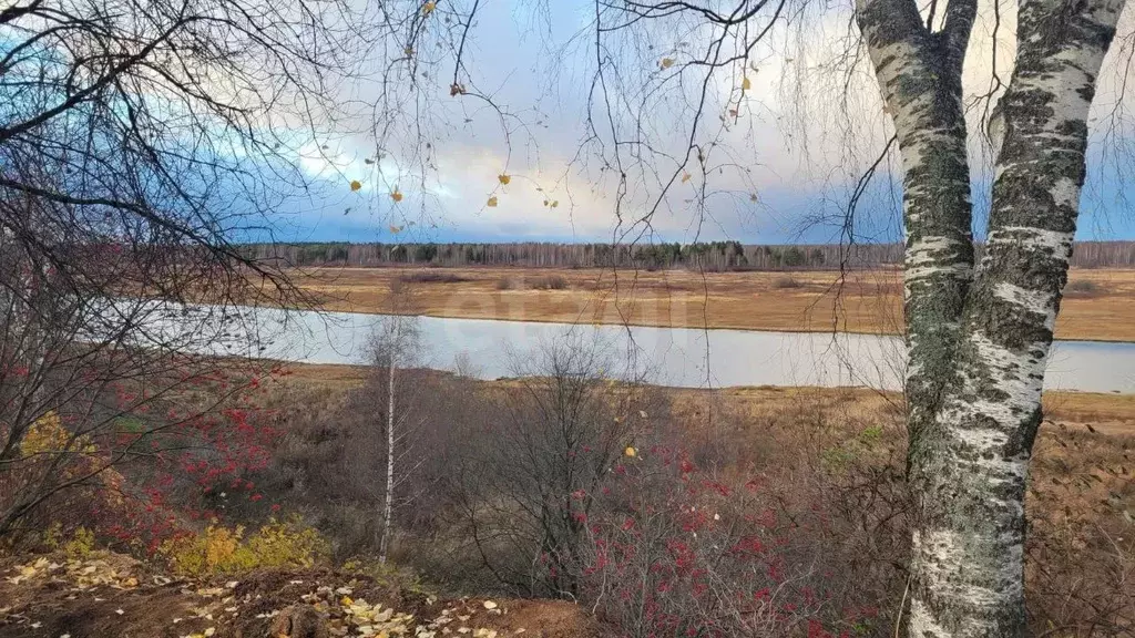 Участок в Архангельская область, Вычегодский рп ул. Лесная (5.4 сот.) - Фото 1