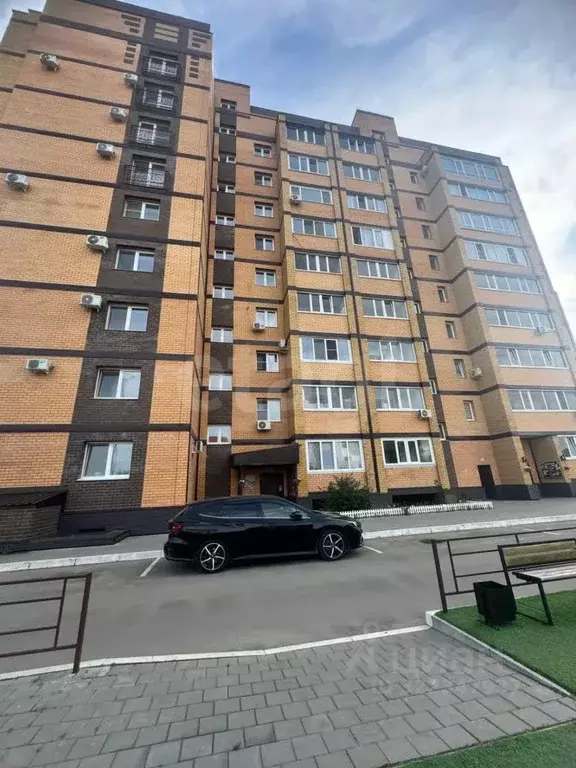 2-к кв. Амурская область, Благовещенск Высокая ул., 141 (78.1 м) - Фото 1