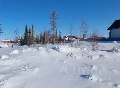 Участок в Ямало-Ненецкий АО, Новый Уренгой Оптимист ДПК, 2 (6.0 сот.) - Фото 1