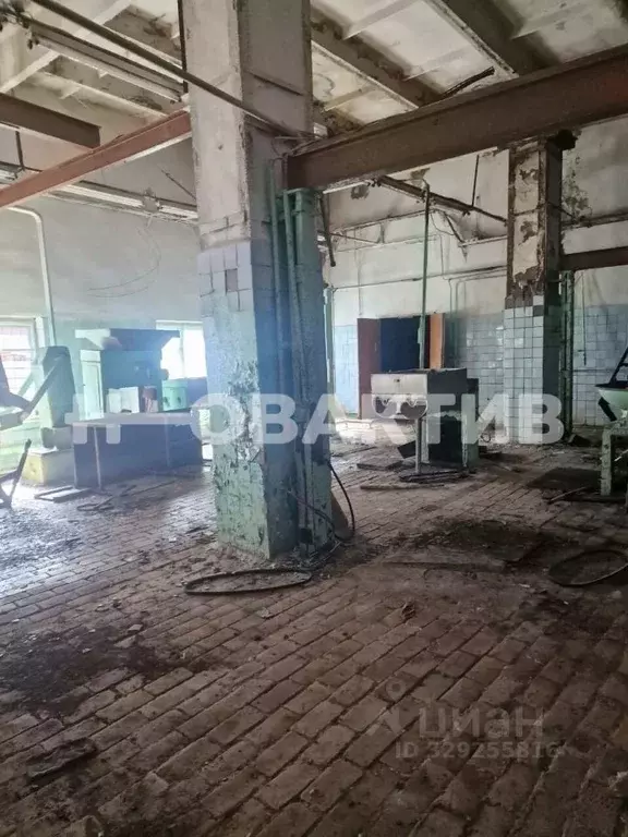 Производственное помещение в Новосибирская область, Каргат Советская ... - Фото 2