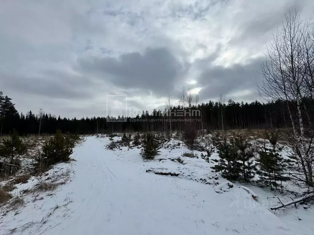 Участок в Владимирская область, Камешковский район, д. Брызгалово, ... - Фото 1