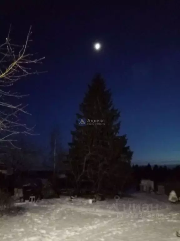 Участок в Тюменская область, Тюменский муниципальный округ, с. Борки  ... - Фото 2