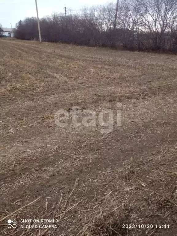 Участок в Амурская область, Благовещенский район, с. Усть-Ивановка ... - Фото 2