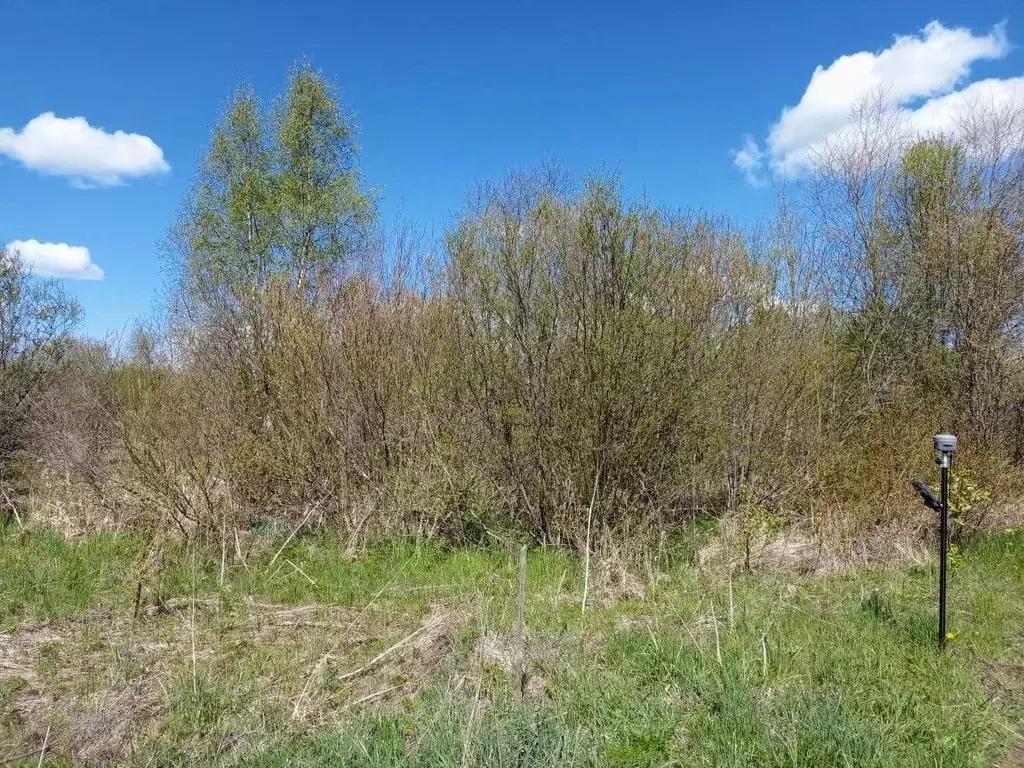 Участок в Вологодская область, Череповецкий район, д. Новое Домозерово ... - Фото 2