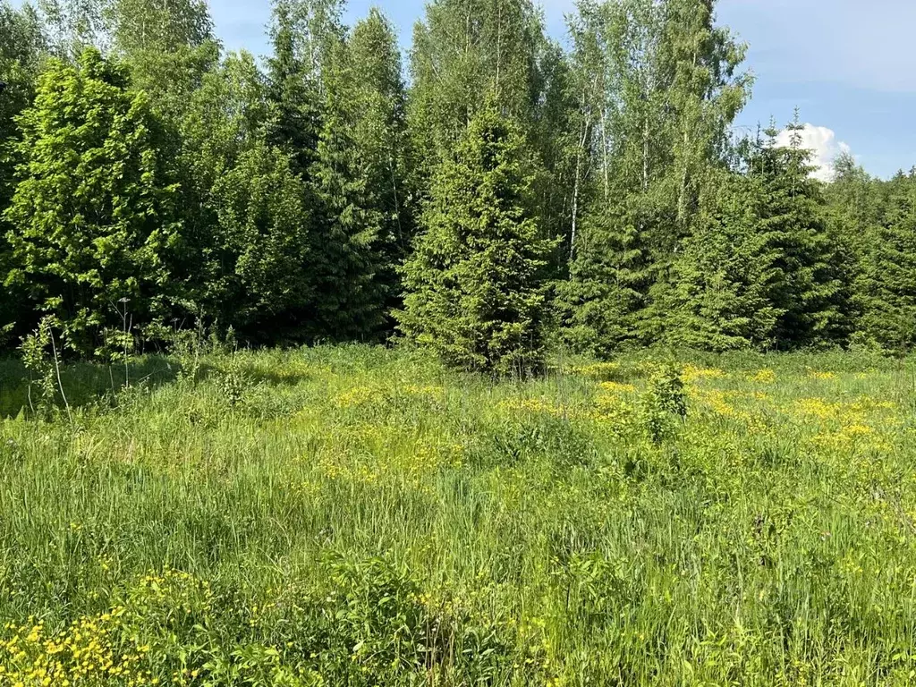 Участок в Московская область, Можайский городской округ, д. Михалево  ... - Фото 1