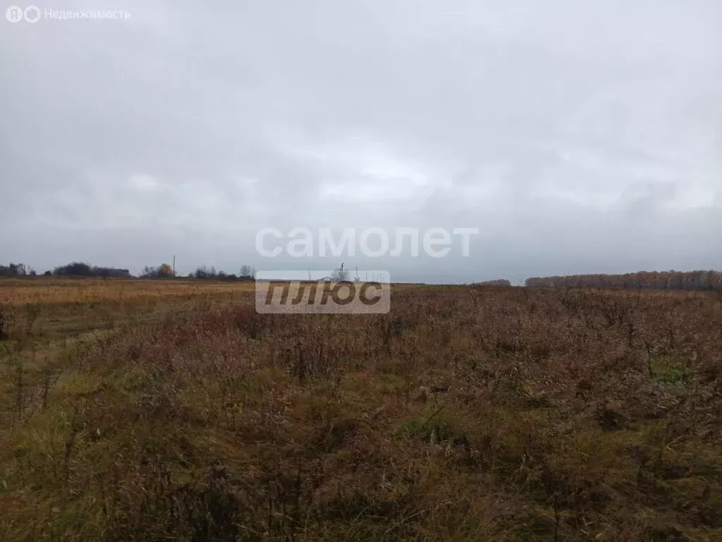 Участок в Рязанская область, Михайловский муниципальный округ, деревня ... - Фото 2