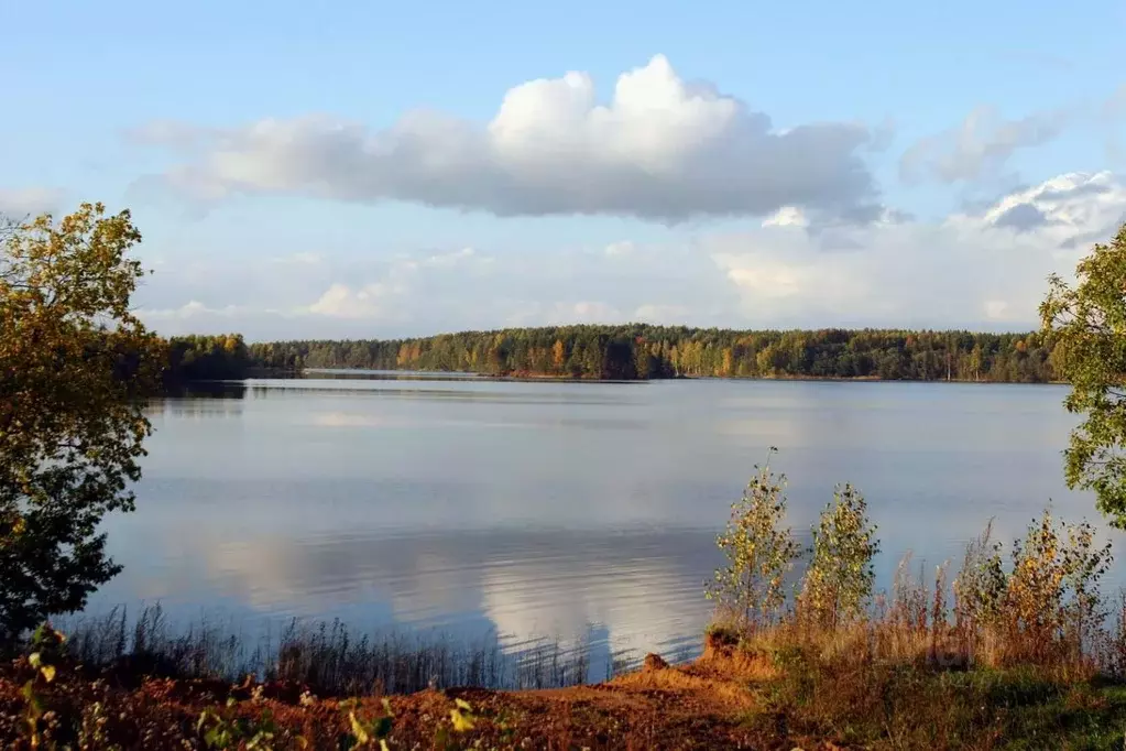 Участок в Новгородская область, Демянский муниципальный округ, д. ... - Фото 1