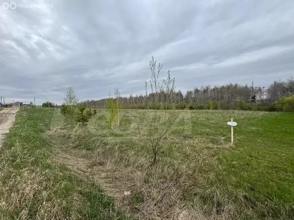 Участок в Тюменский муниципальный округ, деревня Якуши (12.3 м) - Фото 2