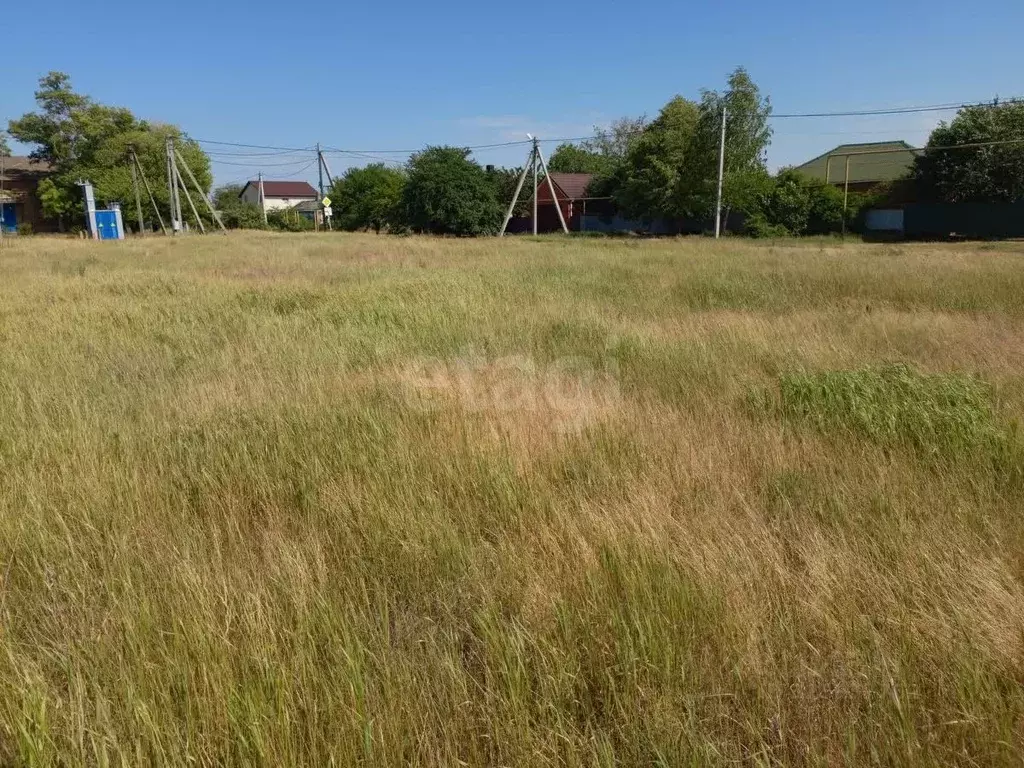 Участок в Краснодарский край, Ейский район, Кухаривское с/пос, ... - Фото 1