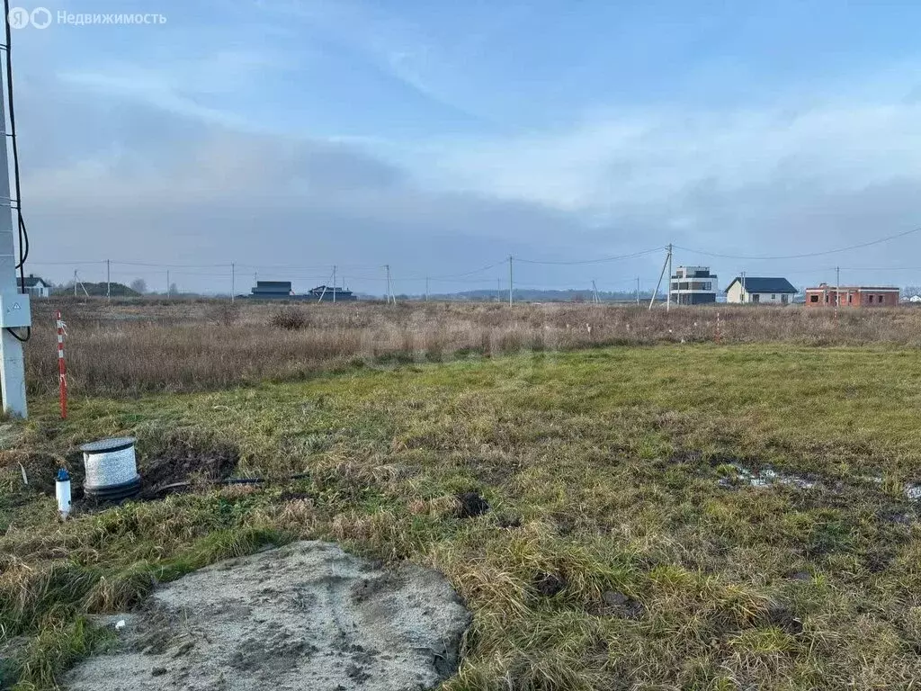 Участок в Калининградская область, Зеленоградский муниципальный округ, ... - Фото 2