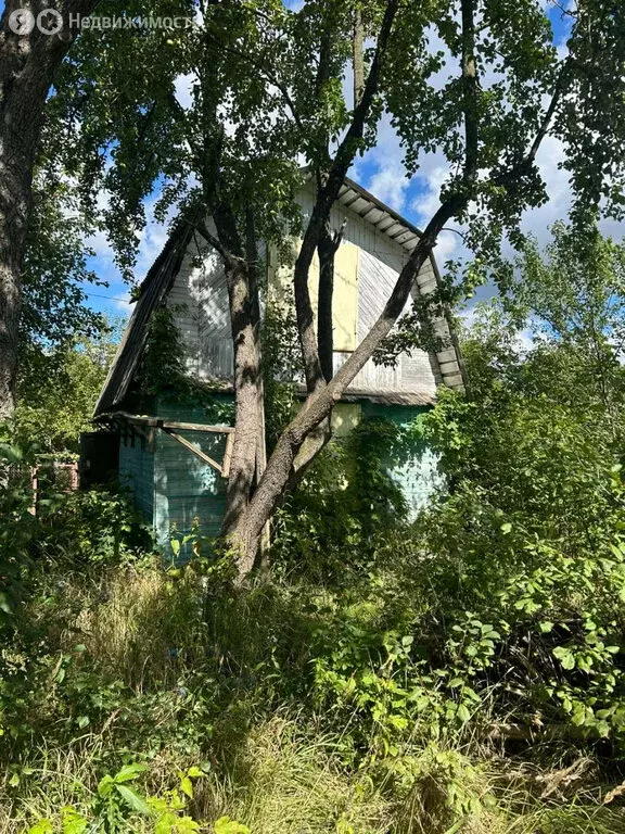 Дом в Воскресенск, СНТ Цементник (30 м) - Фото 1