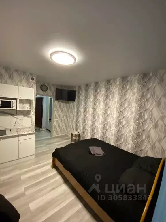 Студия Самарская область, Волжский район, Лопатино с/пос, пос. ... - Фото 2