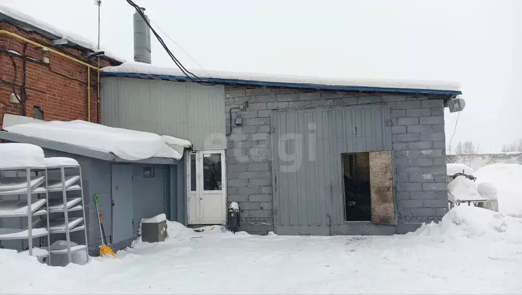 Помещение свободного назначения в Пермский край, Пермь ул. ... - Фото 1