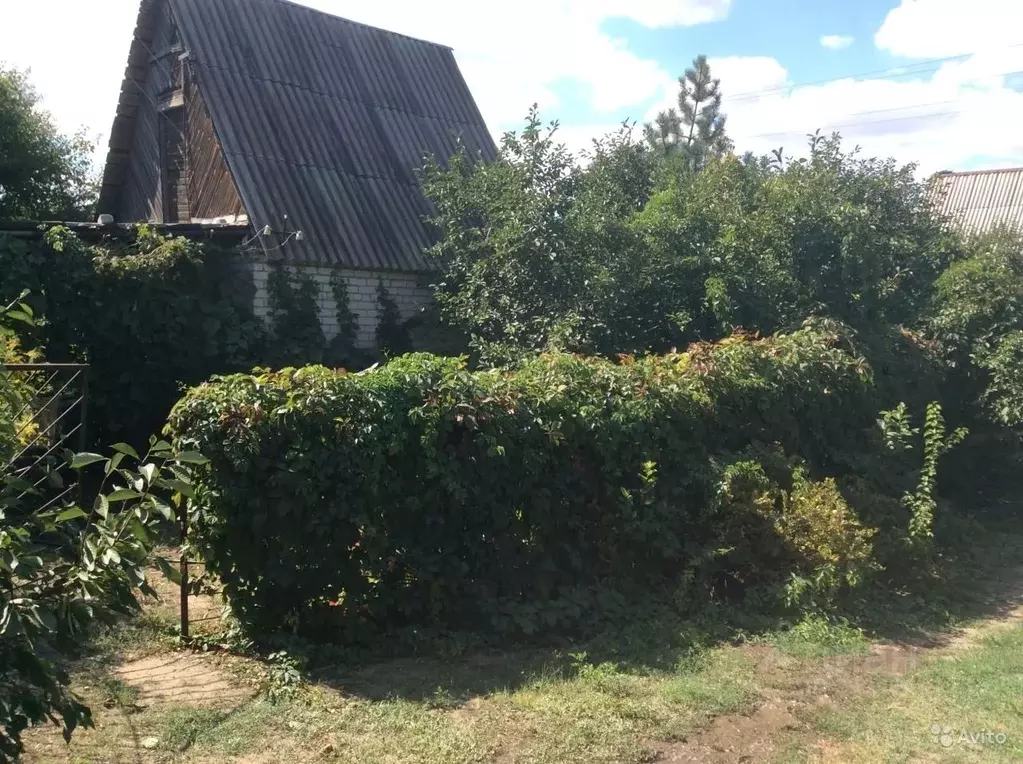 Дом в Волгоградская область, Волгоград Дружба СНТ,  (23 м) - Фото 0