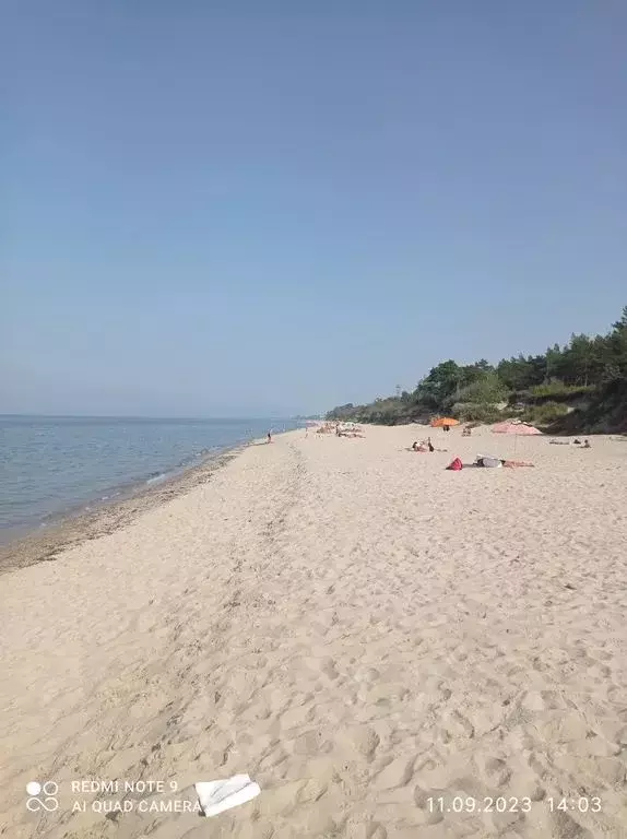 Дом в Калининградская область, Зеленоградск Прибой садоводческое ... - Фото 0