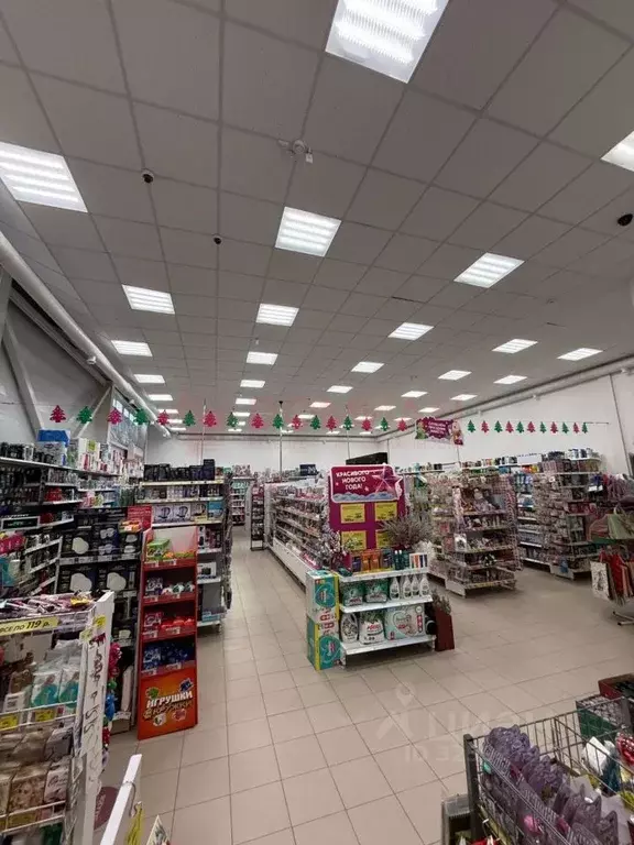 Торговая площадь в Ростовская область, пос. Орловский ул. Максима ... - Фото 2