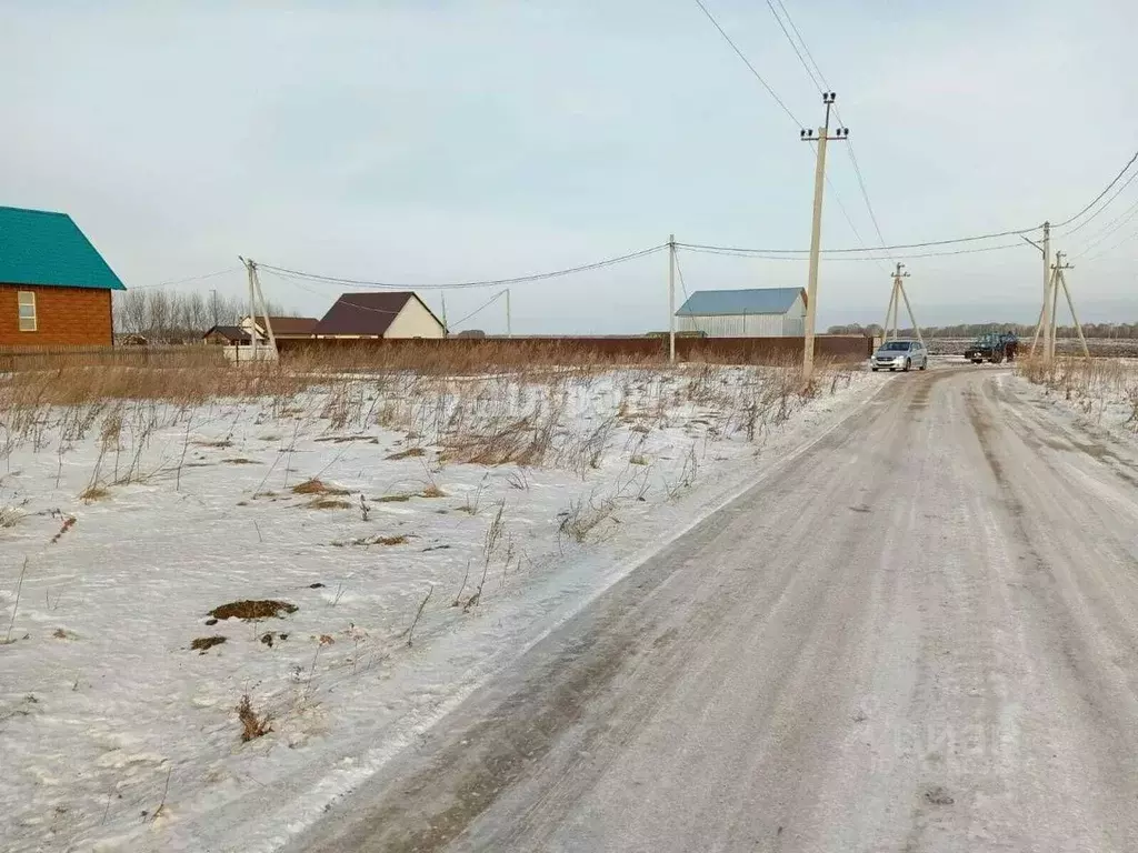 Участок в Новосибирская область, Колыванский район, с. Скала ул. ... - Фото 0