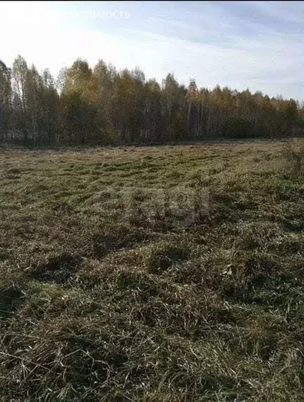 Участок в Новосибирская область, рабочий посёлок Кольцово (264 м) - Фото 2