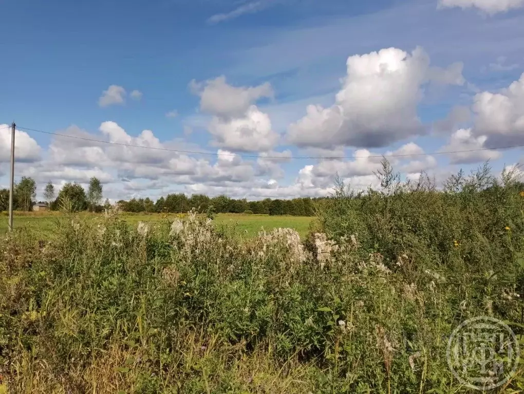 Участок в Ленинградская область, Лужский район, Толмачевское городское ... - Фото 1